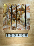Driftwood