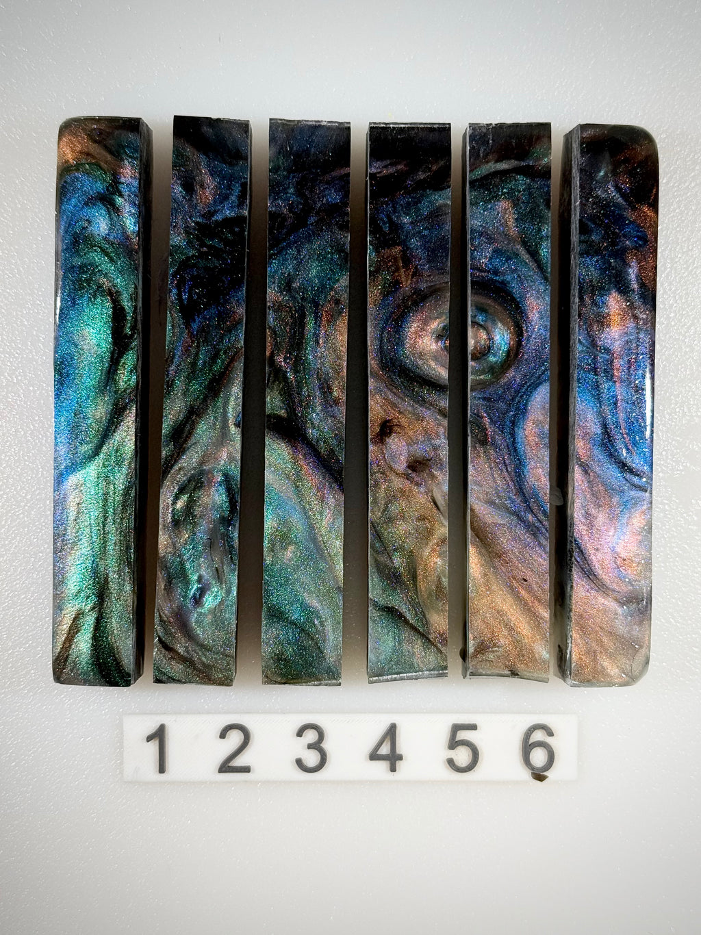Reef Abalone