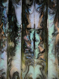Reef Abalone