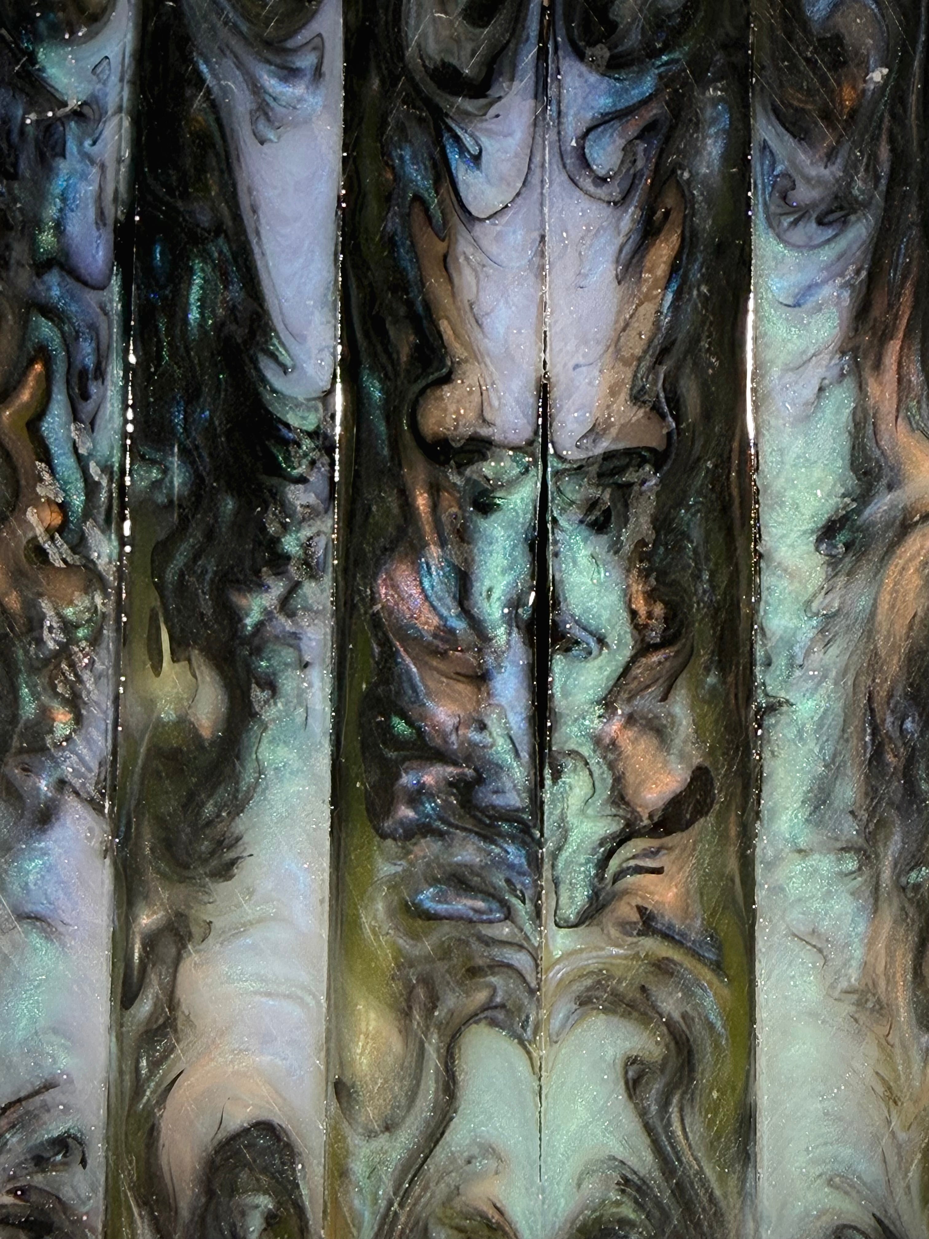 Reef Abalone
