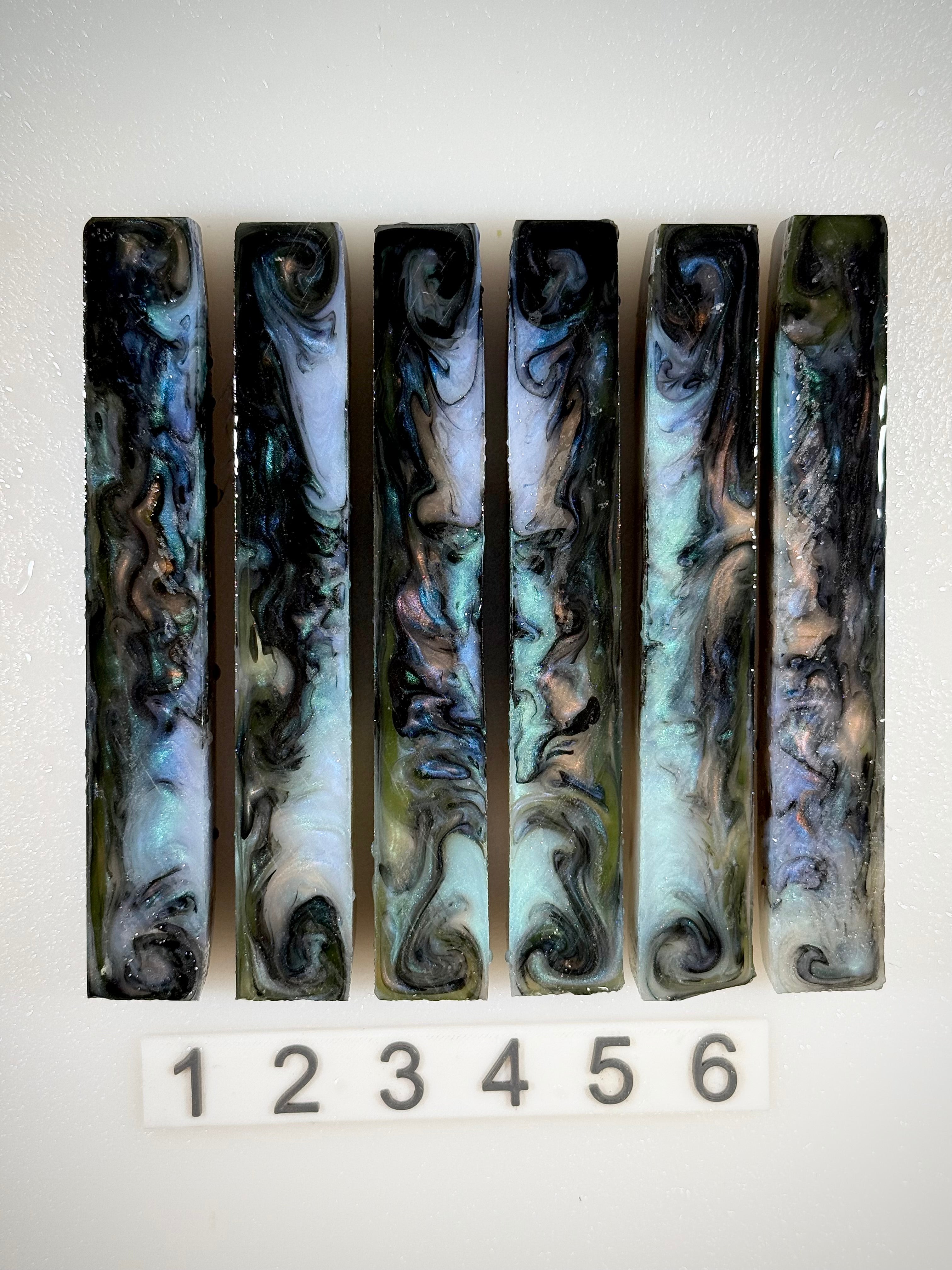 Reef Abalone