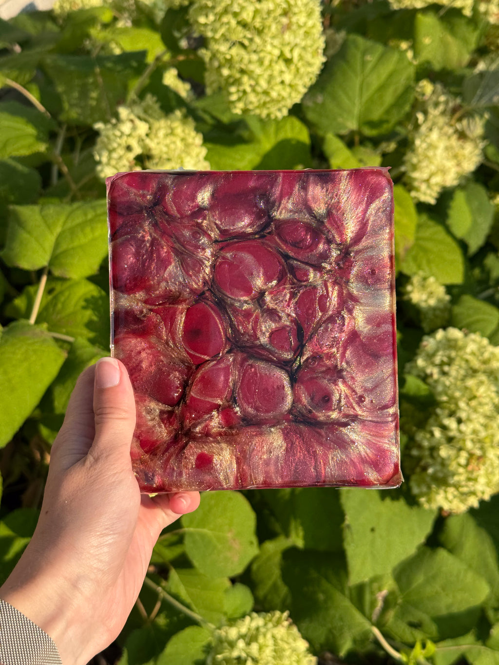 Merlot Millésime 1.0