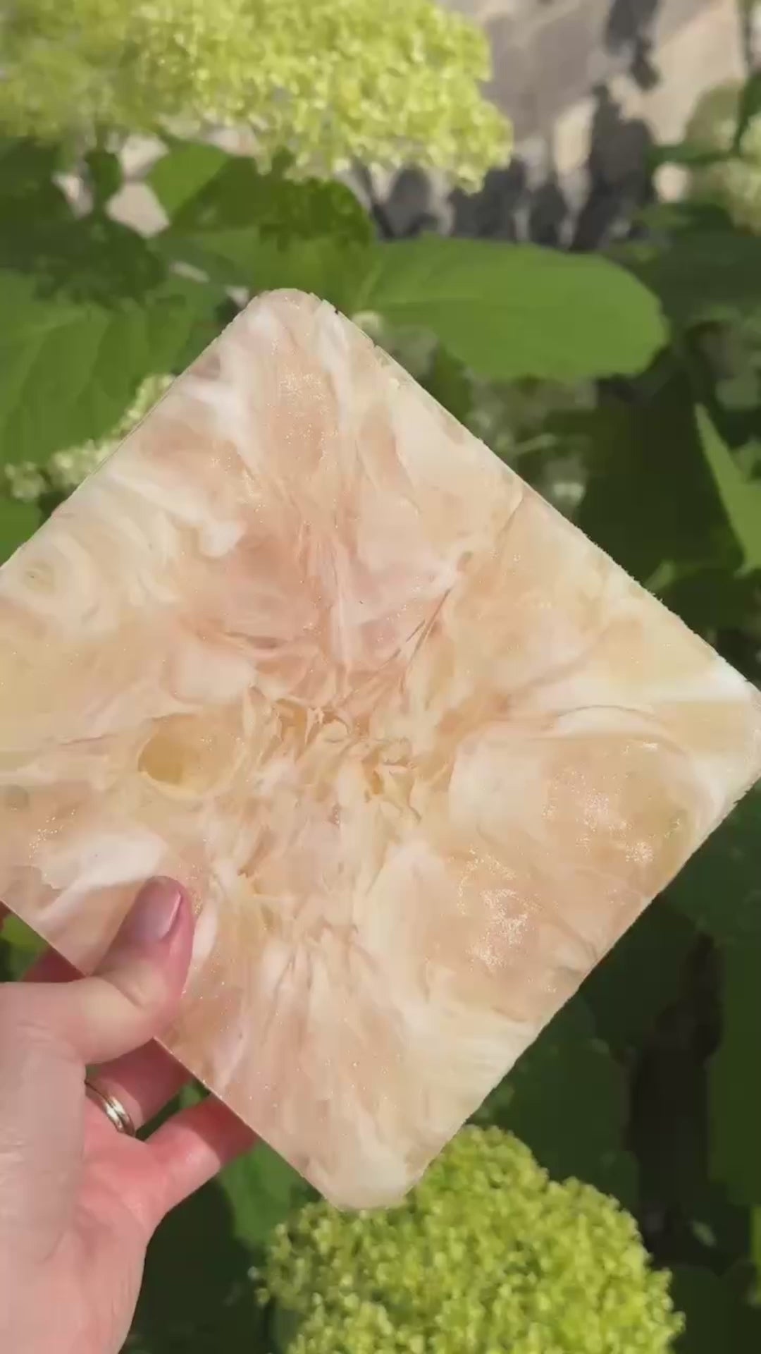 Honeysuckle 1.0
